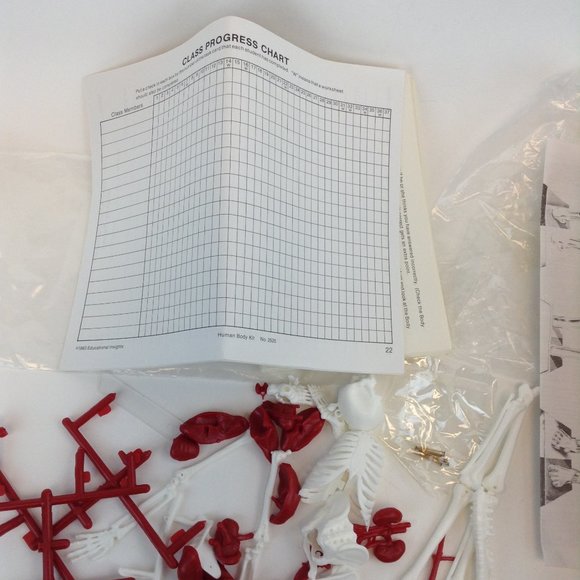 Human Body Science Kit from Educational Insights Kit #EI-2525 Teaching Tool - Picture 10 of 14